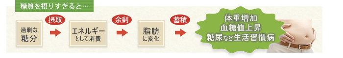 糖質を摂りすぎると・・・